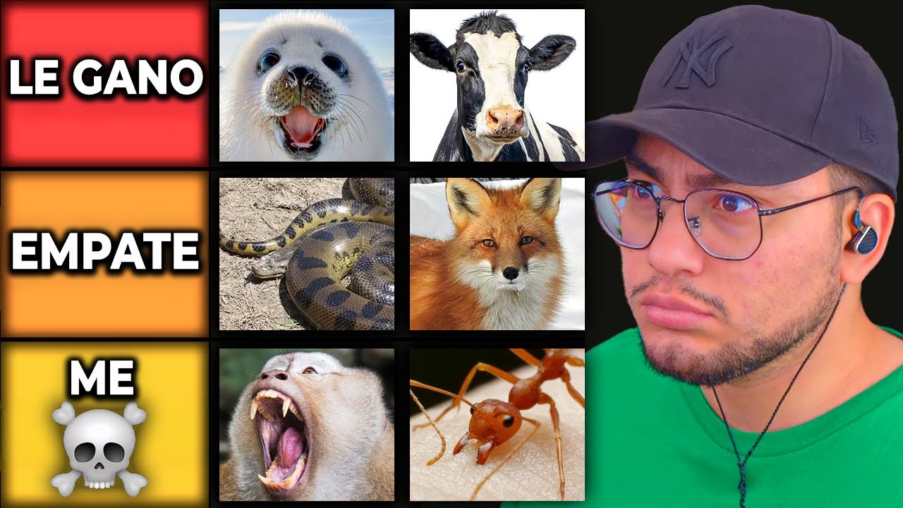 Animales A Los Que Les Podría Ganar En Una Pelea