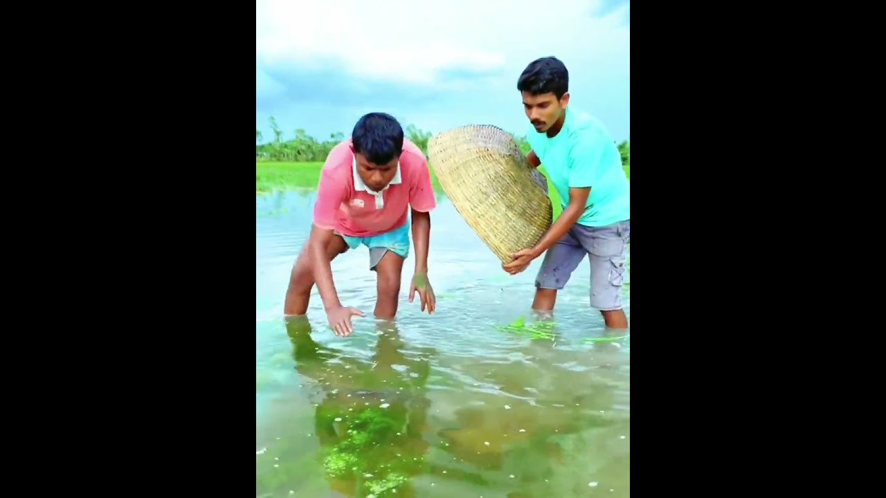 Fishing video