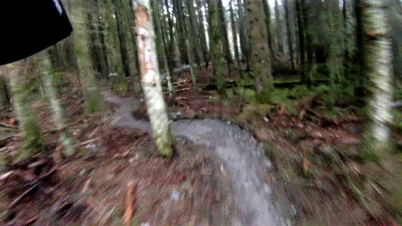 Davagh Forest Trails - Northern Ireland