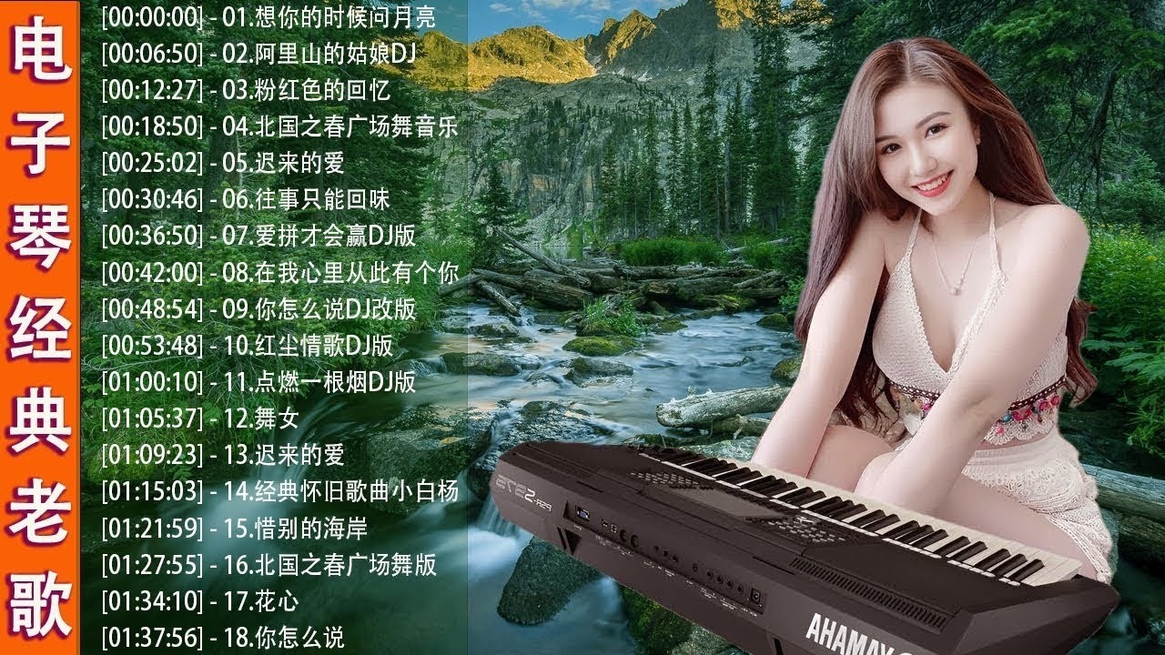 DJ节奏电子琴舞曲 【超級好聽】车载必备音乐电子琴 Electronic Organ Accompaniment | 中文舞曲中国最好的老歌2025 | 舞曲串烧 Chinese DJ