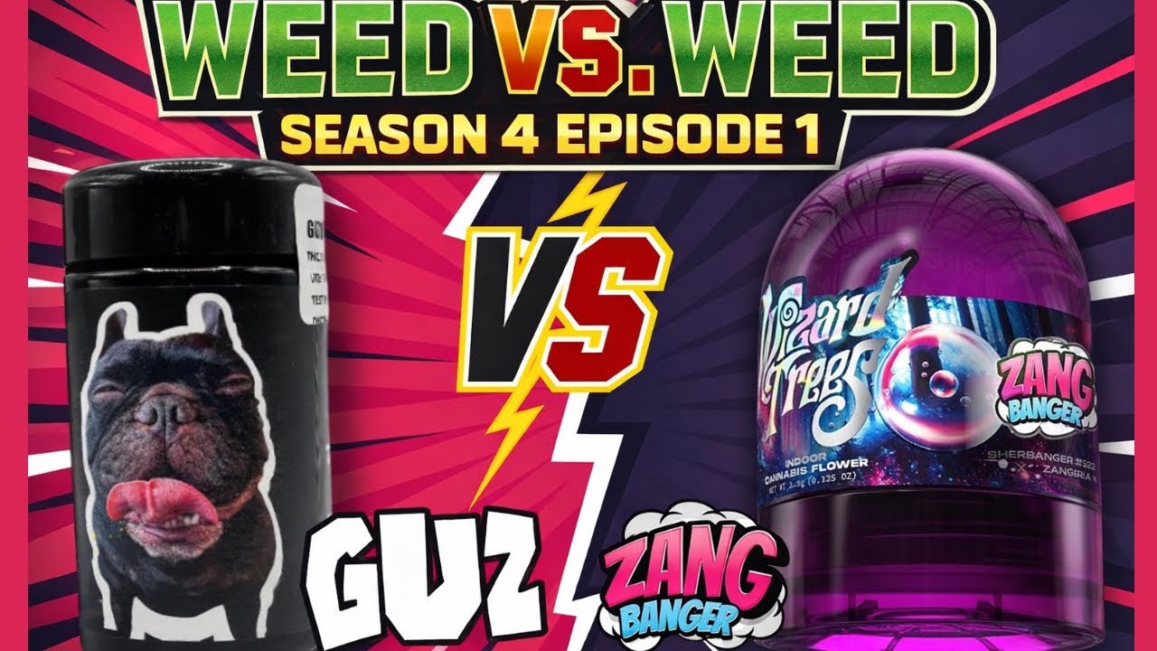 Wizard Trees Zang Banger VS B Eazy GUZ (#19)