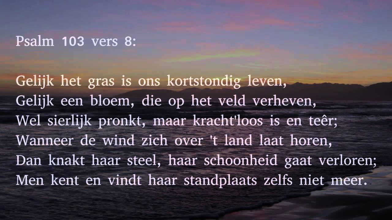Psalm 103 vers 8 en 9 - Gelijk het gras is ons kortstondig leven