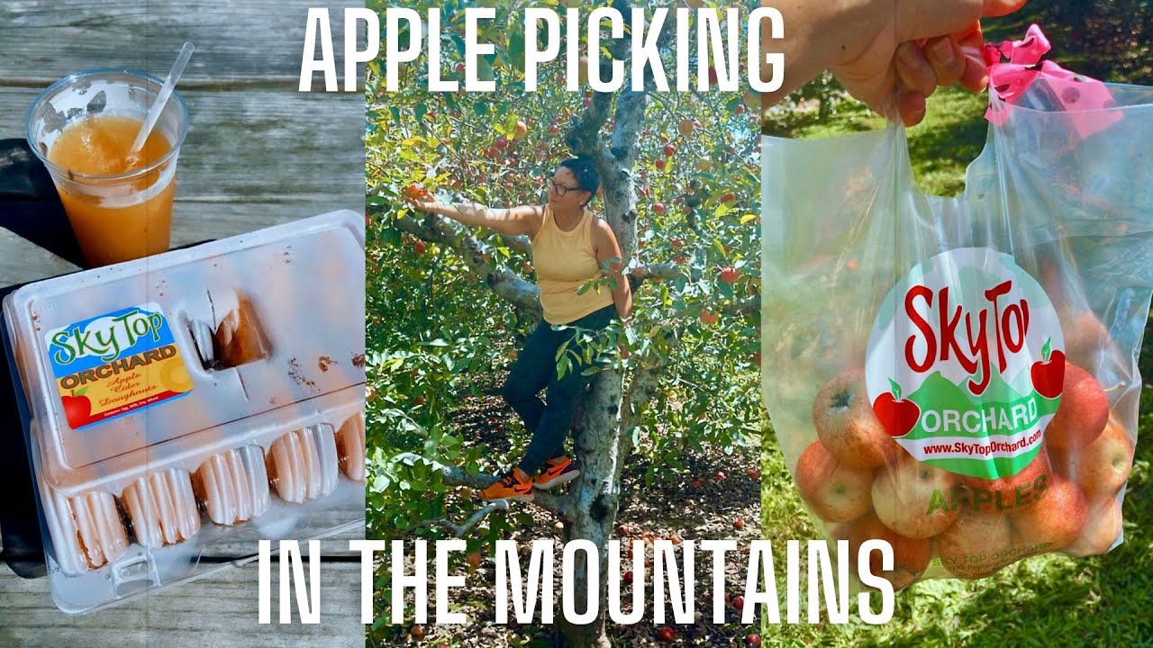 DAY IN THE APPLE ORCHARD || SKYTOP ORCHARD,