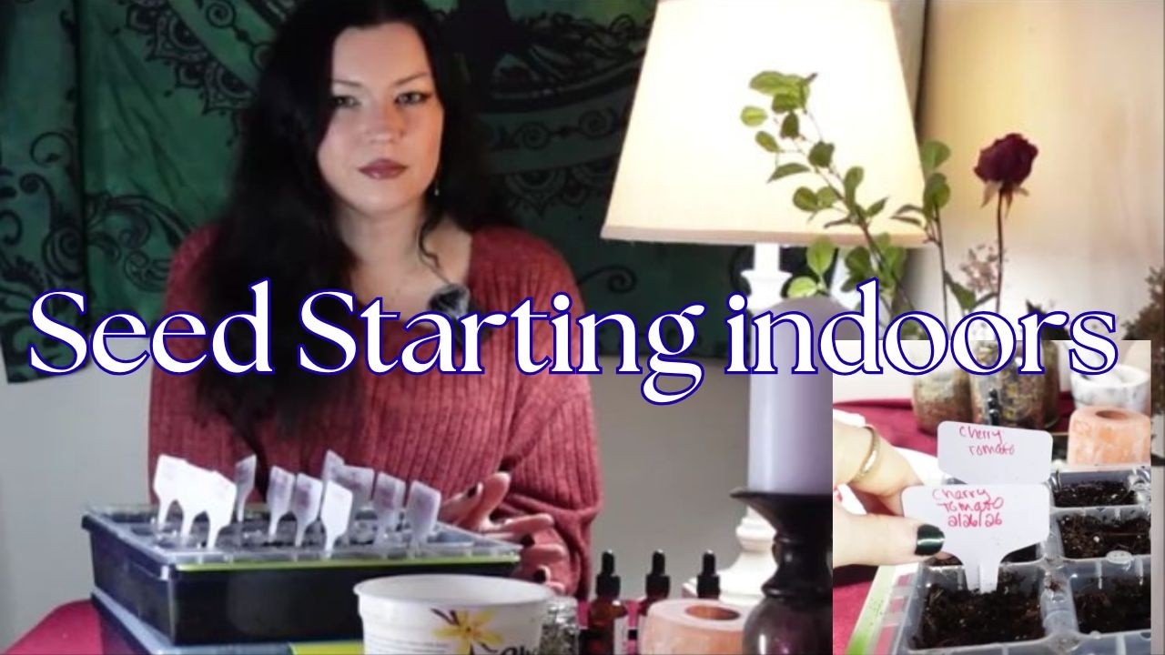 🌱How I start seeds indoors~beginner gardening tips for lighting, soil mix, and seed trays