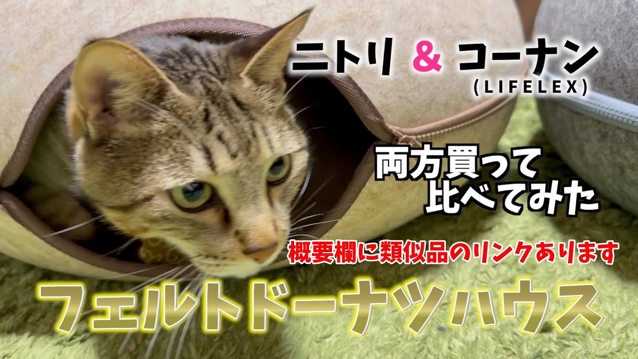 【猫グッズ】フェルトドーナツハウスのご紹介😺【コーナン＆ニトリ】