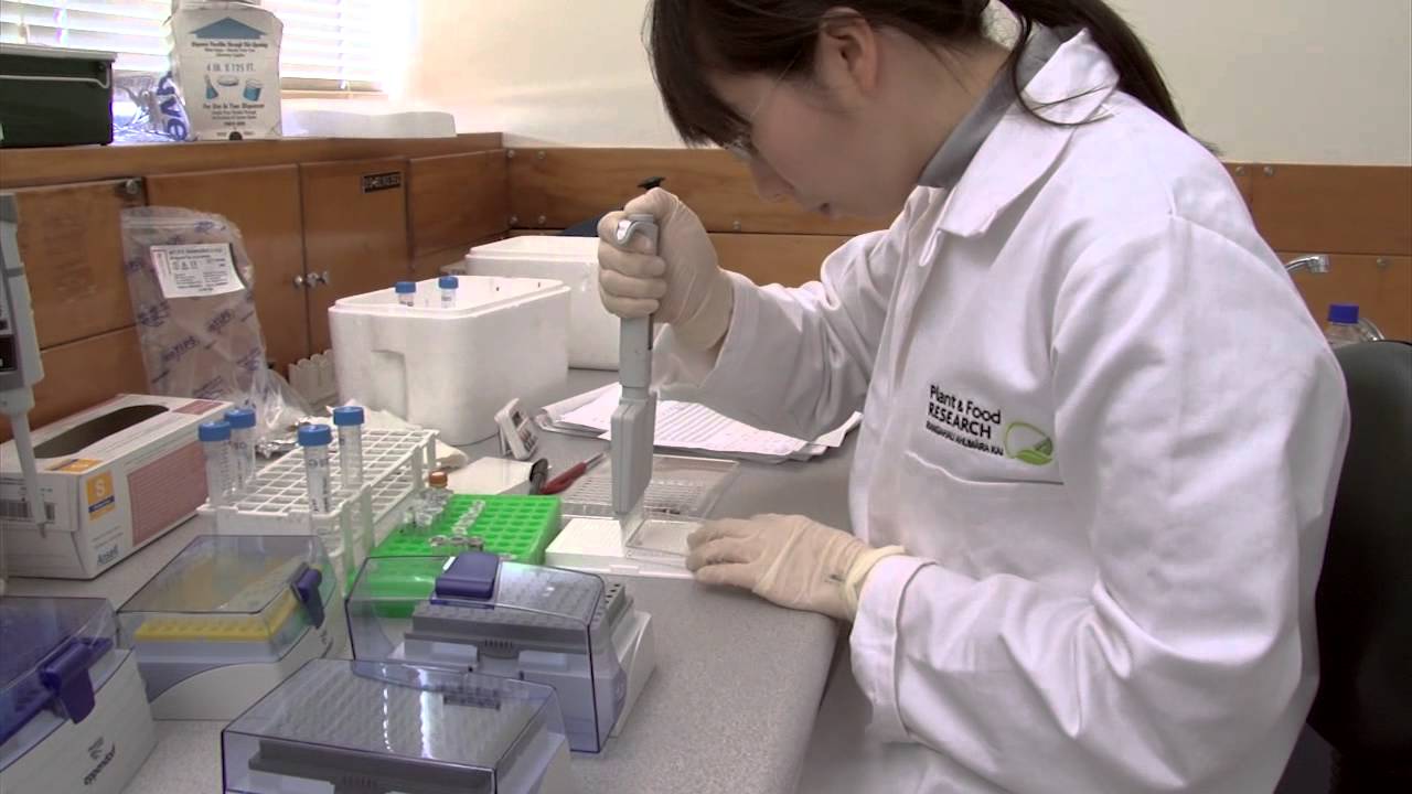 Functional Foods Explained