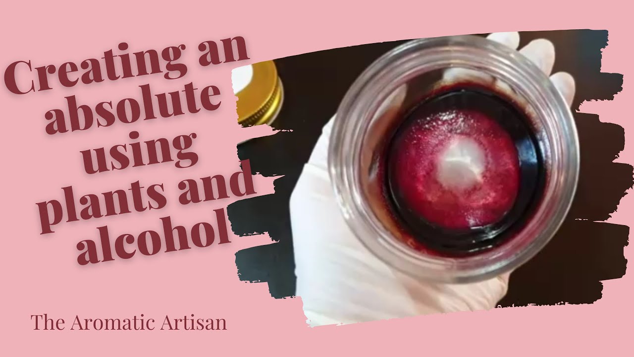 From Plant to Absolute - Recharging my Aromatic Tinctures