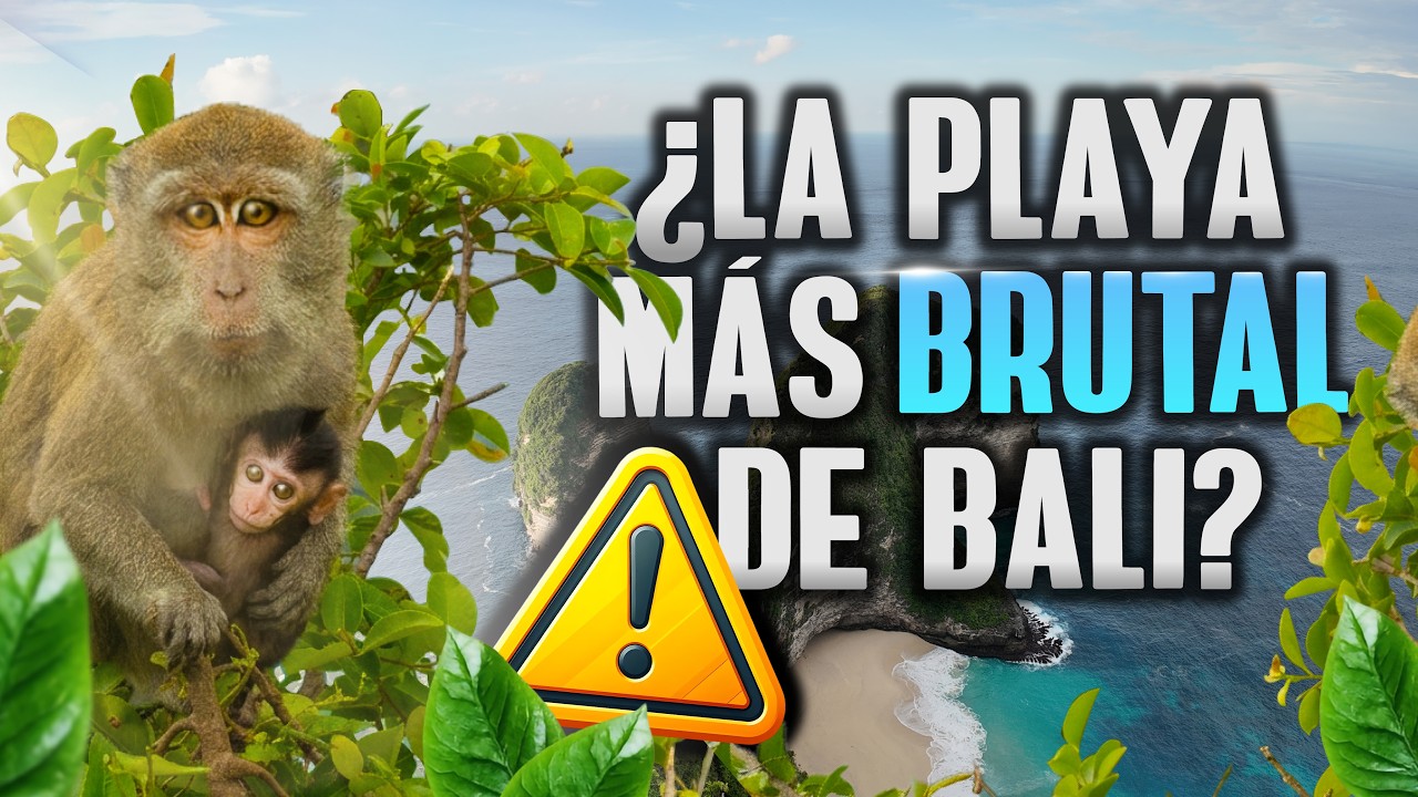 ¿LA PLAYA MÁS BRUTAL DE BALI? 😱 Kelingking Beach – Nusa Penida