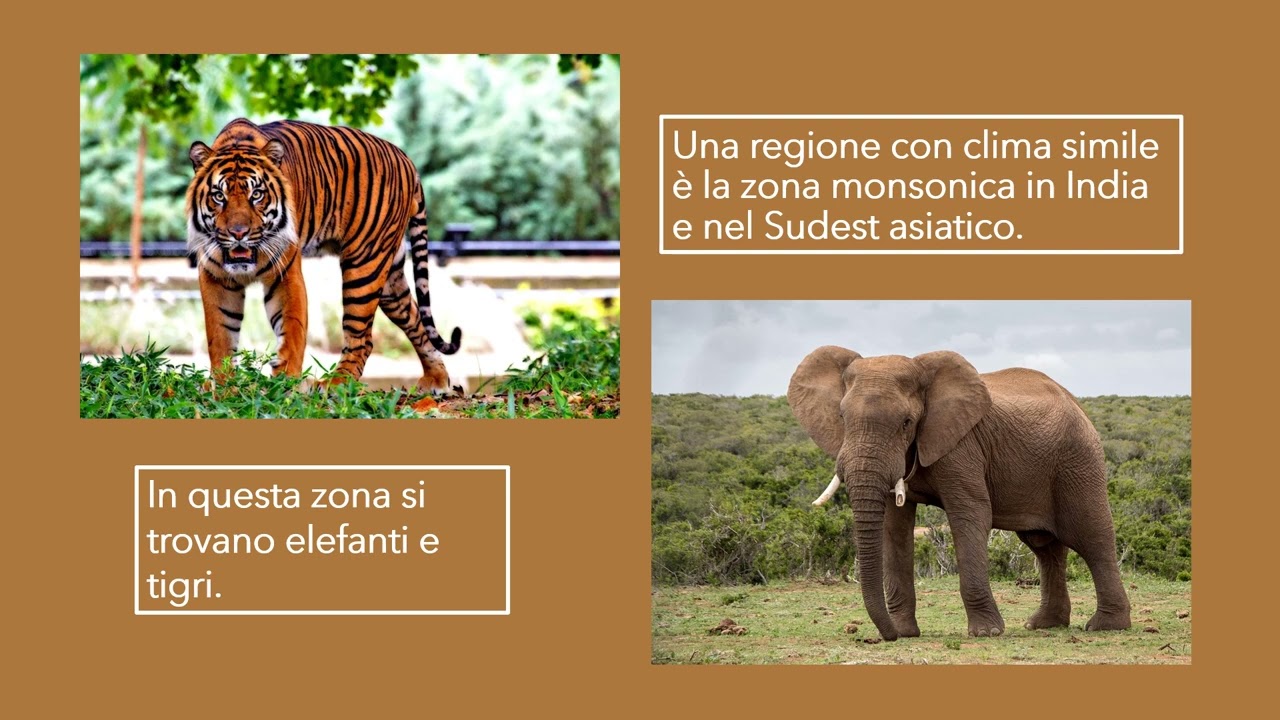 LE FASCE CLIMATICHE E GLI AMBIENTI