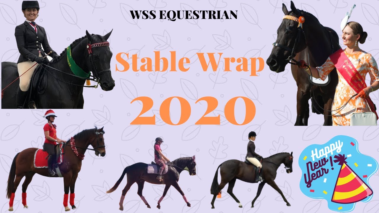 Stable Wrap 2020 | Equestrian Year In Review