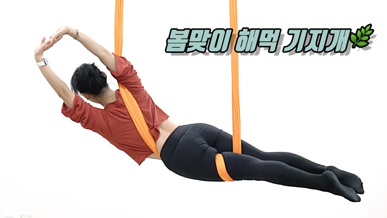 [플라잉요가] 낮은 천고에서도 가능한 서커스 동작입니다.