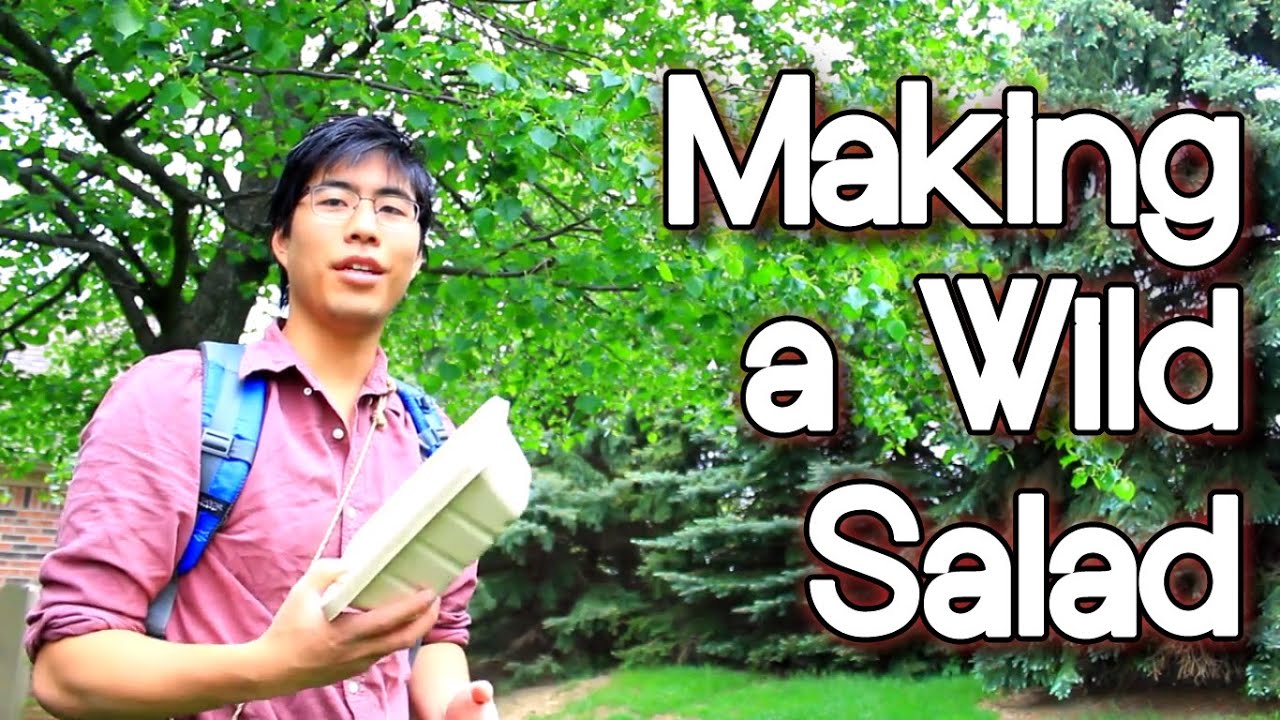 Edible Trees | Foraging a Wild Flower and Leaf Salad in the Spring | Bushcraft