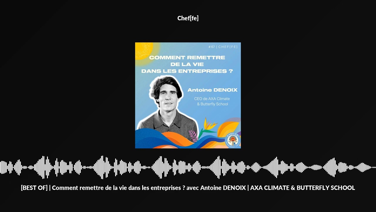 [BEST OF] | 🦋Comment remettre de la vie dans les entreprises ? avec Antoine DENOIX | AXA CLIMATE ...