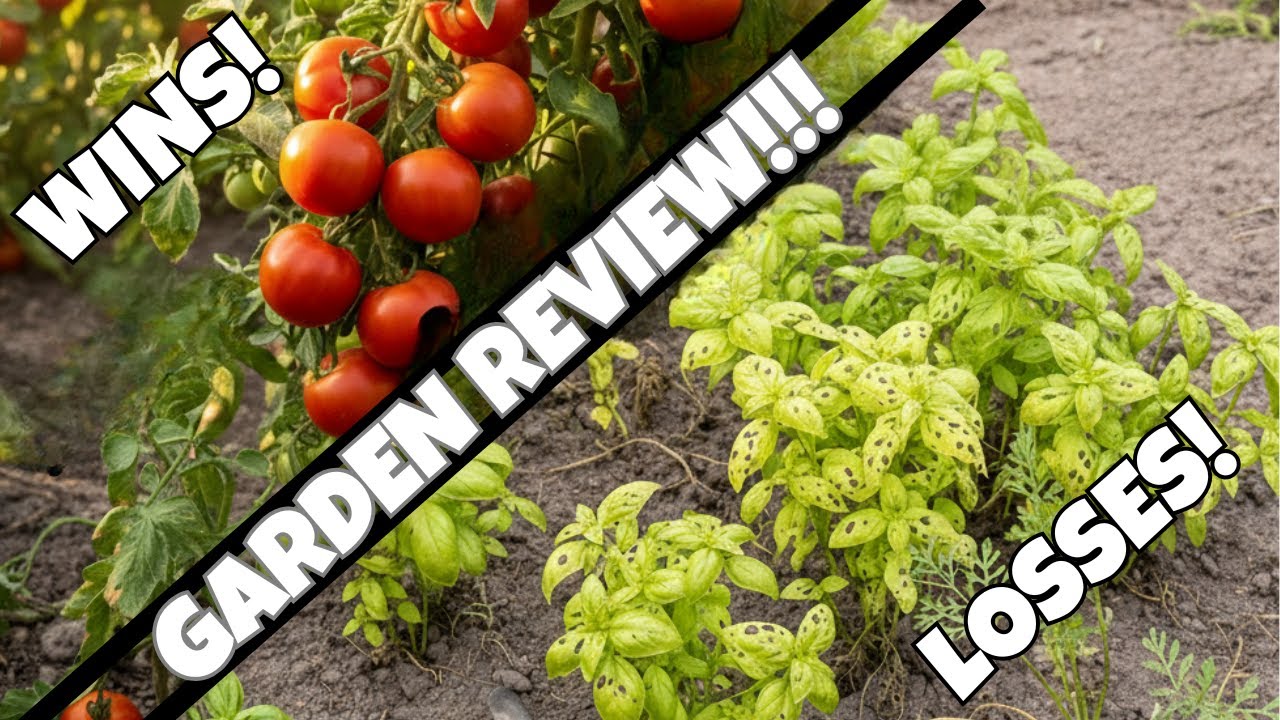 2025 Garden Review: My Biggest Wins & Most Painful Losses (CrocGardener Zone 6b)