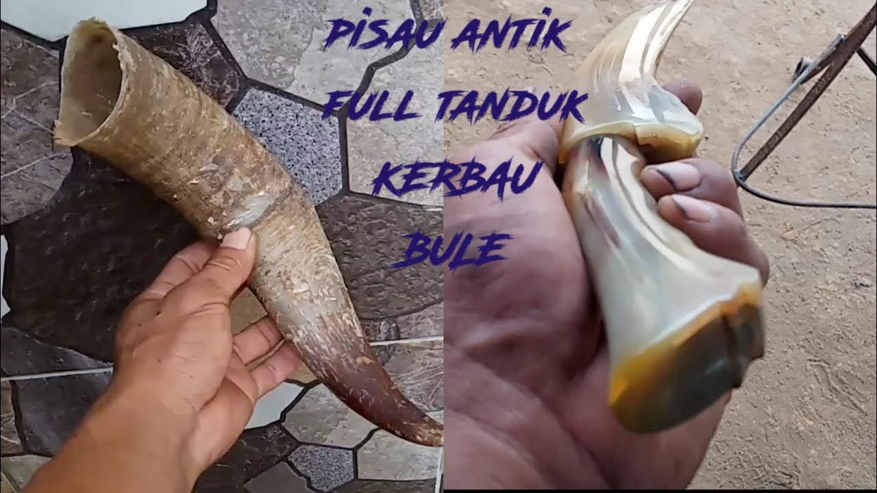 PANDAI BESI_proses full pisau antik vs TANDUK KERBAU BULE/FORGING/making knife