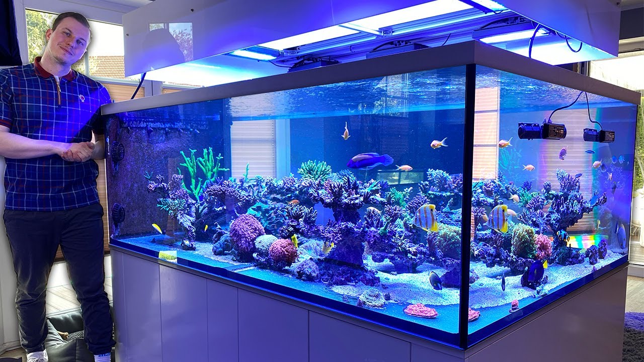 2250 Liter Reef Tank *epic* 4k
