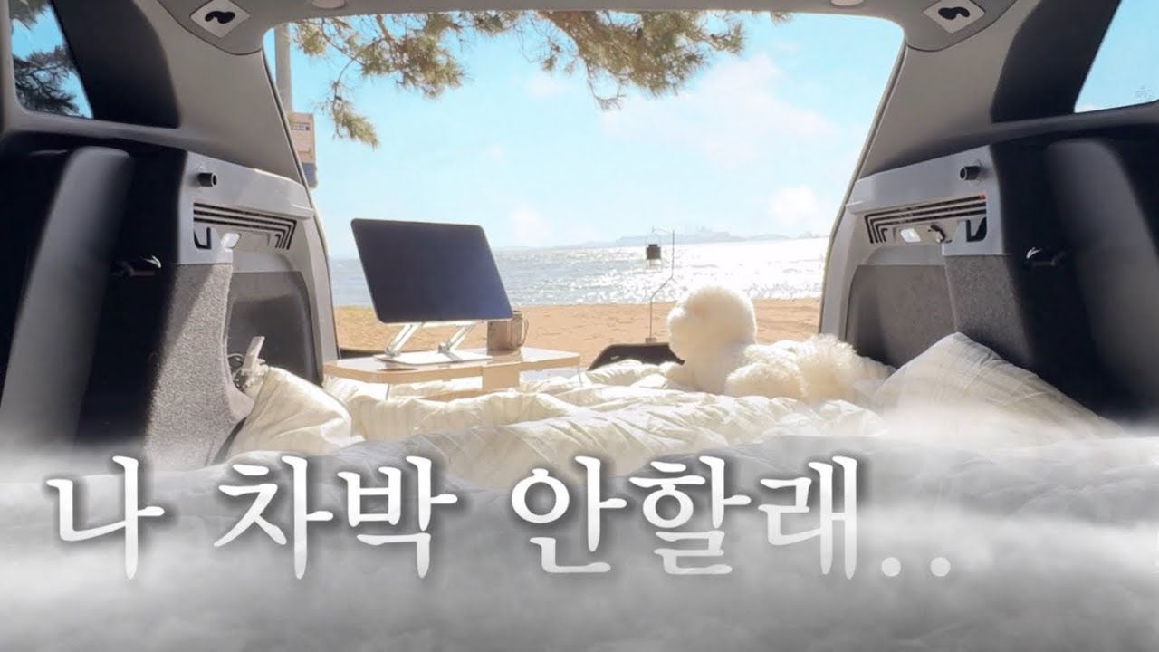 천국과 지옥을 오간 바닷가 차박(feat.강아지)