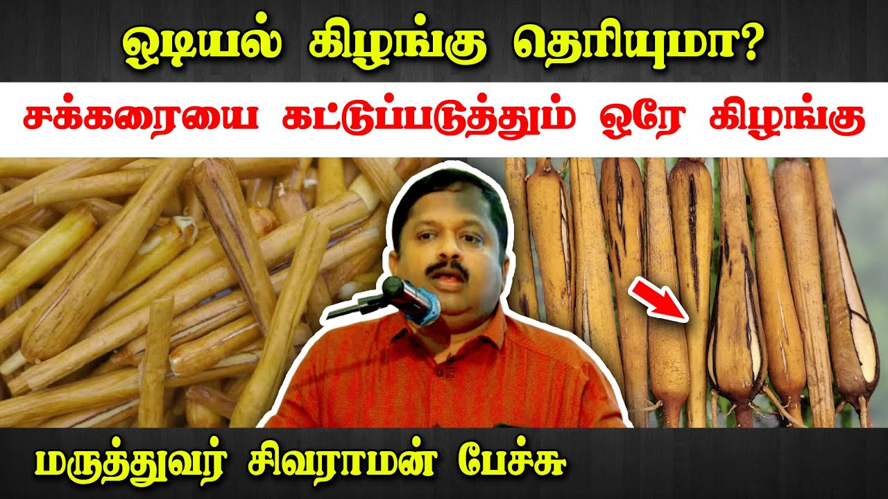 சக்கரையை கட்டுப்படுத்தும் ஒடியல்(ன்) கிழங்கு! Dr Sivaraman speech in Tamil | Diabetes | Odiyal