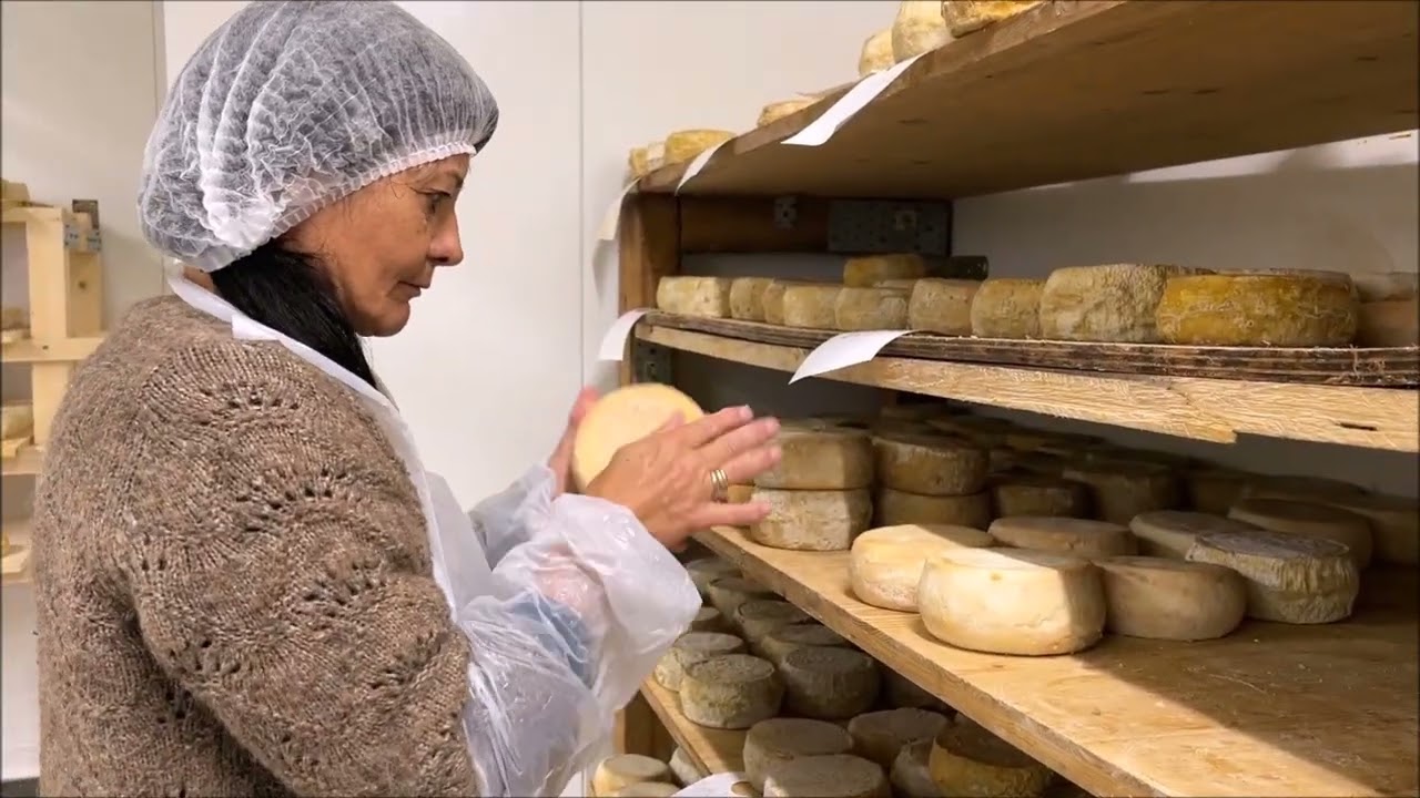 È campà quì in u Canale 3/5 : Jean-François Sammarcelli, éleveur ovin à Lama