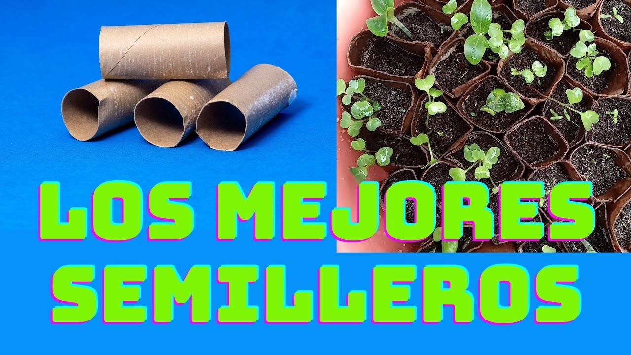 Cómo Hacer Semilleros Con Tubos de Cartón