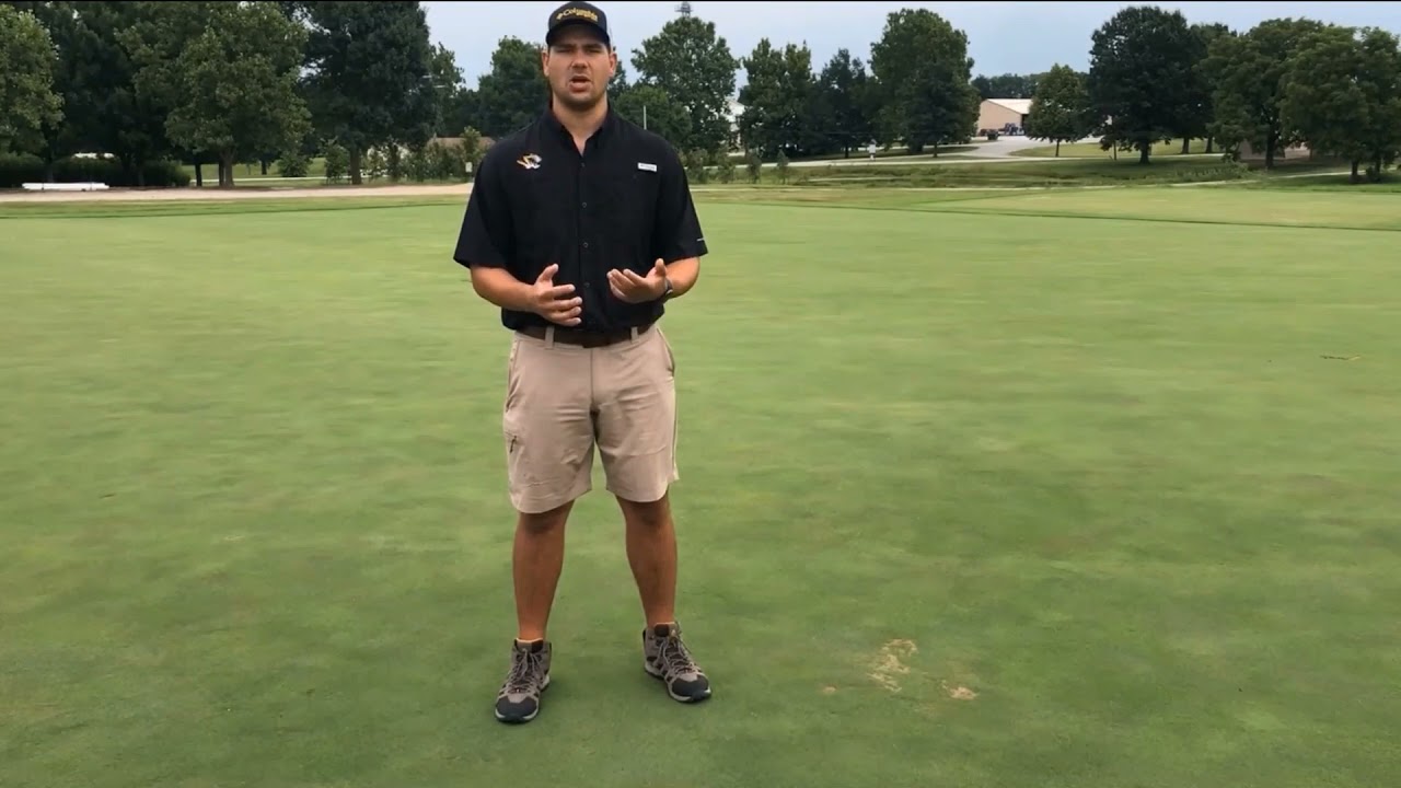 Improving Water Retention in Hydrophobic Soil
