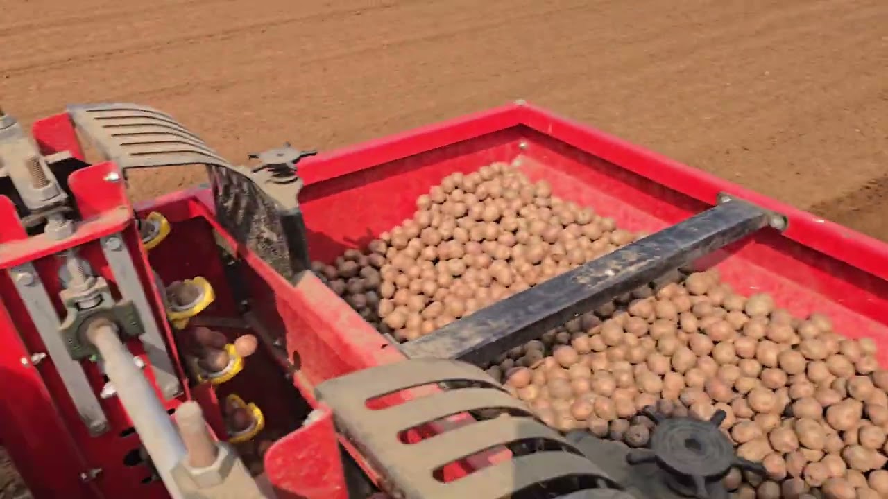 Potato Planter- 30