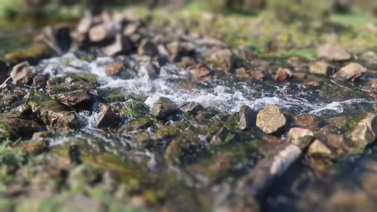 Sound of a Mountain Stream ... Immerse Yourself ... 4K Video
