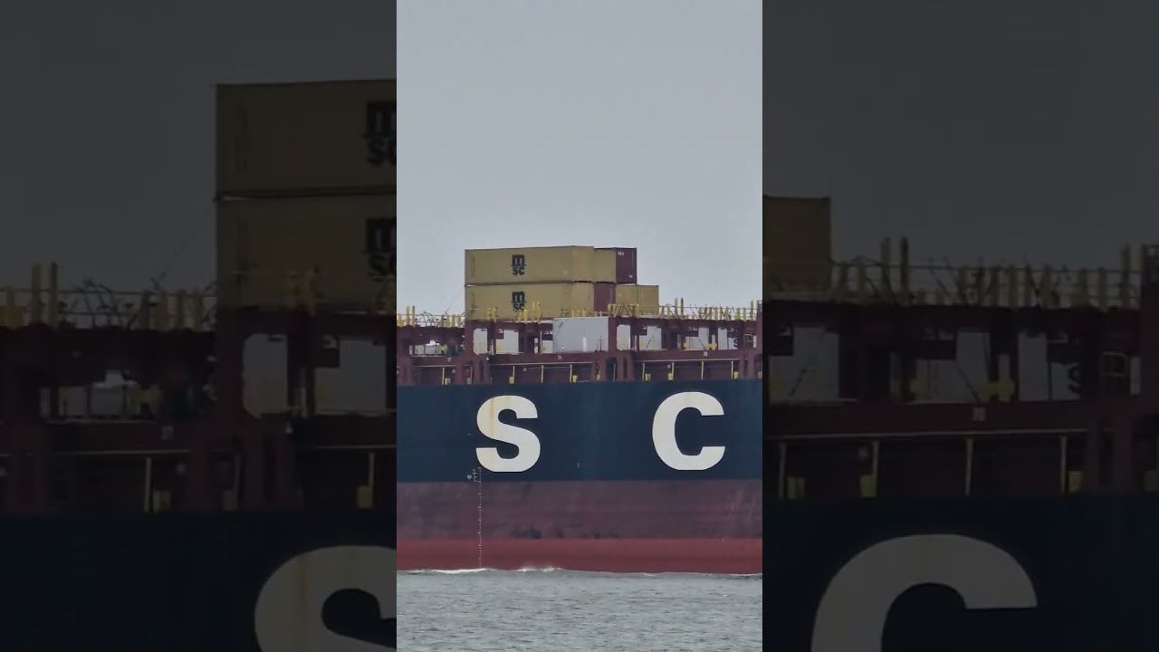 MSC SARISKA V🙊🙊🙊