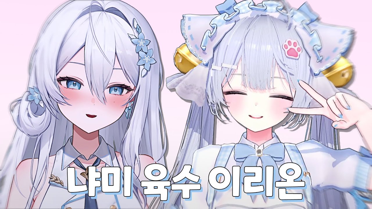 버튜버 악질 육수 박제 영상