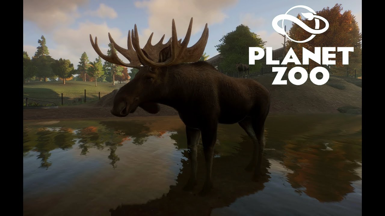 ОБЗОР НОВОГО DLC | Planet Zoo: North America Animal Pack