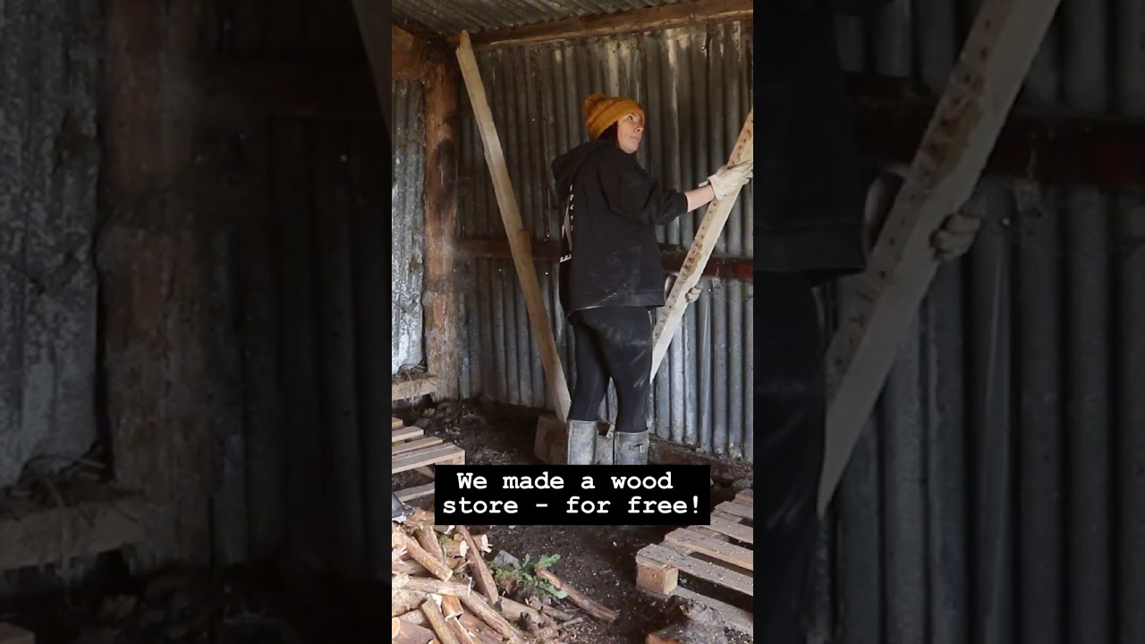 Creating a wood store for our homestead for FREE! #homestead #smallholding #woodshed #homerenovation