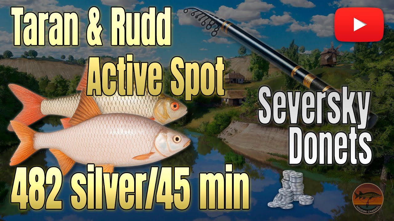 🐟 RF4 Seversky Donets | Float Fishing Taran & Rudd 🎯 | 71+411 Silver Profit Guide
