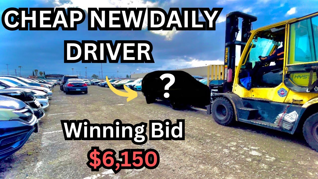 I bought a NEW Daily Driver for ONLY $6K! IAAi Auto Auction GREAT BUY!