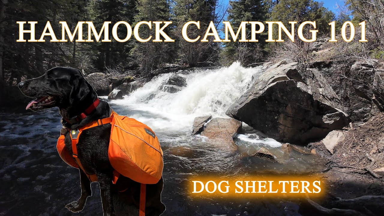 Hammock Camping 101 | Where does my dog sleep when I go hammock camping | 2 options