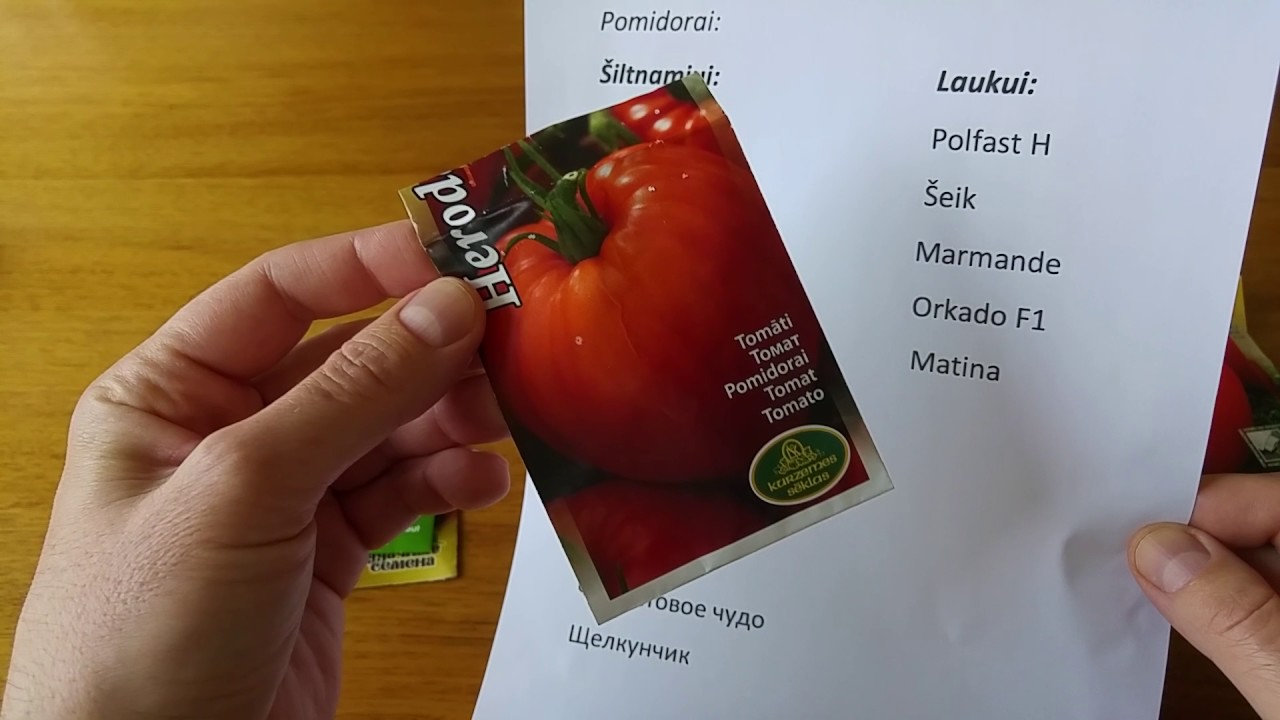 Geriausios pomidorų ir baklažanų veislės (Lietuvos klimatui)