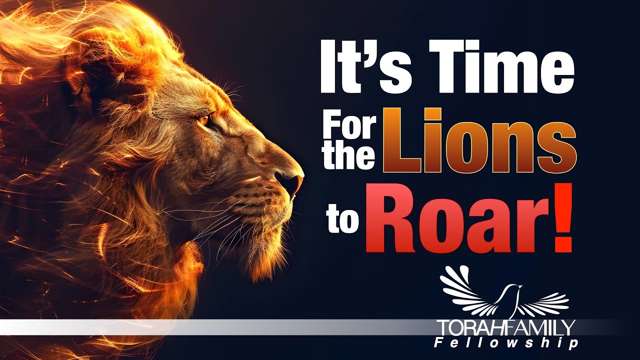 It's Time for the Lions to Roar!