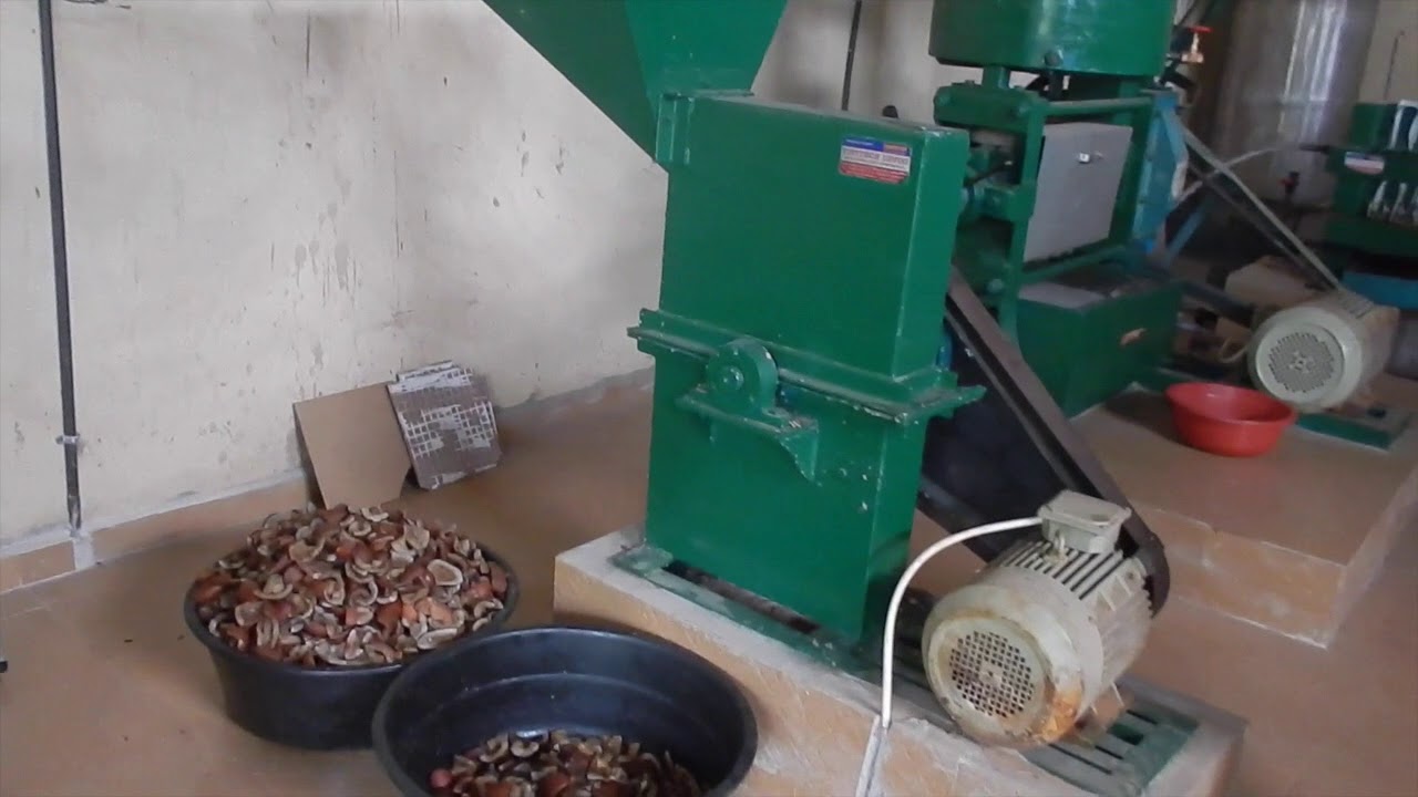 AgroPlanet Coconut Oil Mill: Virtual Tour