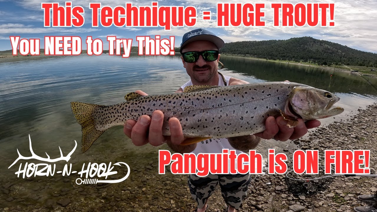 Secret Bait Hack SLAYS Giant Trout at Panguitch Lake! (Must Try!) | What’s Working & When to Fish 😲