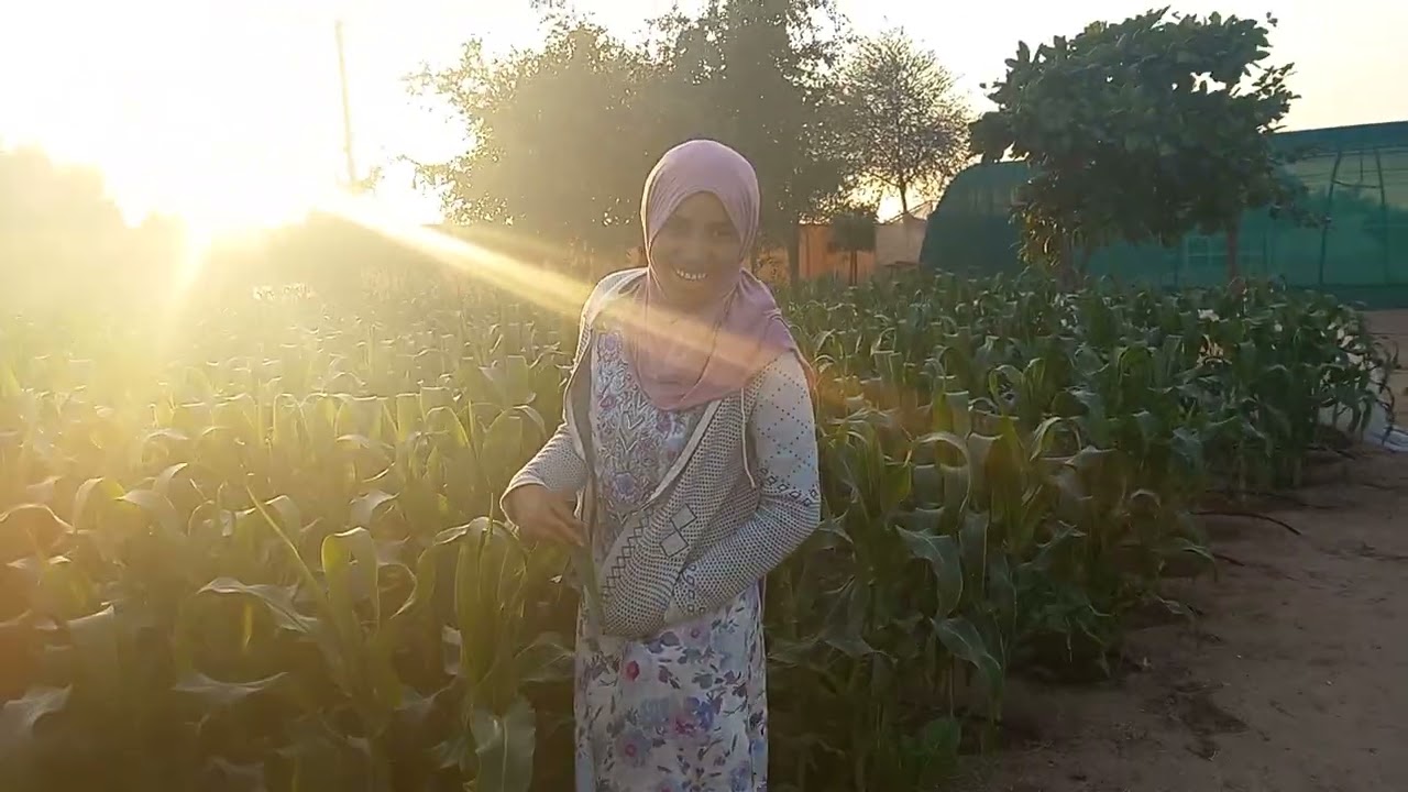 Nagaan isiiniif haa ta'uu akama jirtu please share like subscribe 😀 🙏 😊 