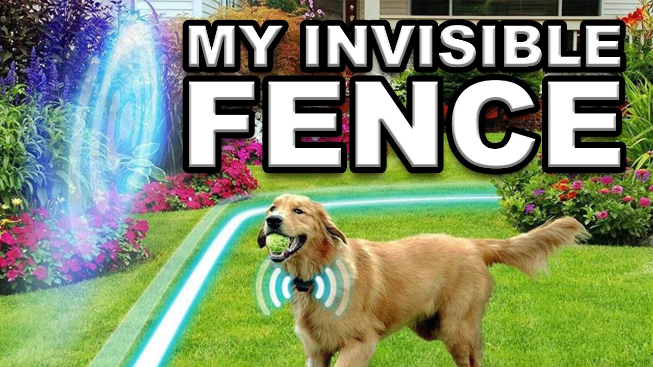My Invisible Fence