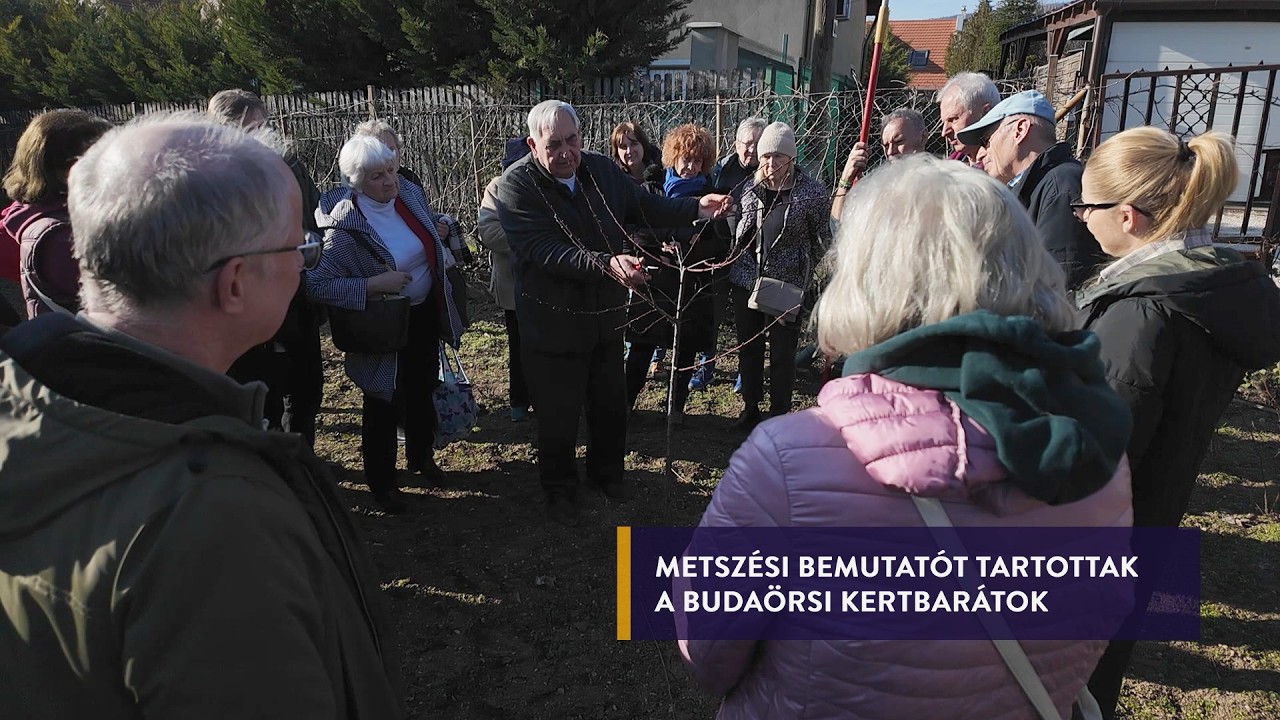 7KÖZBEN 2026. márc. 2.