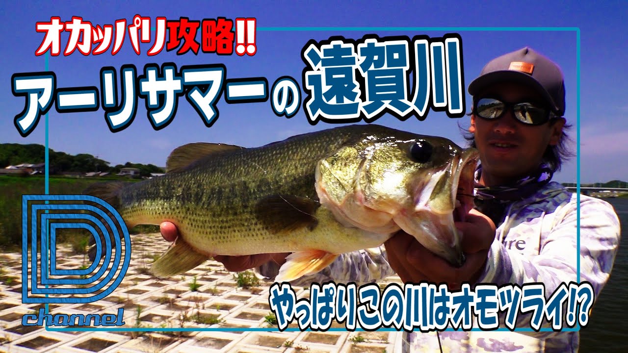 【青木大介】D Channel #005 アーリーサマーの遠賀川/オカッパリ攻略
