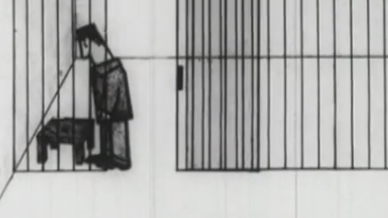 KLATKI (1966) | Animacja | reż. Mirosław Kijowicz