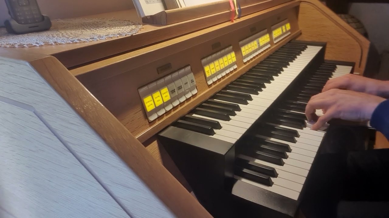 Laudate Dominum (Orgel, Organ)