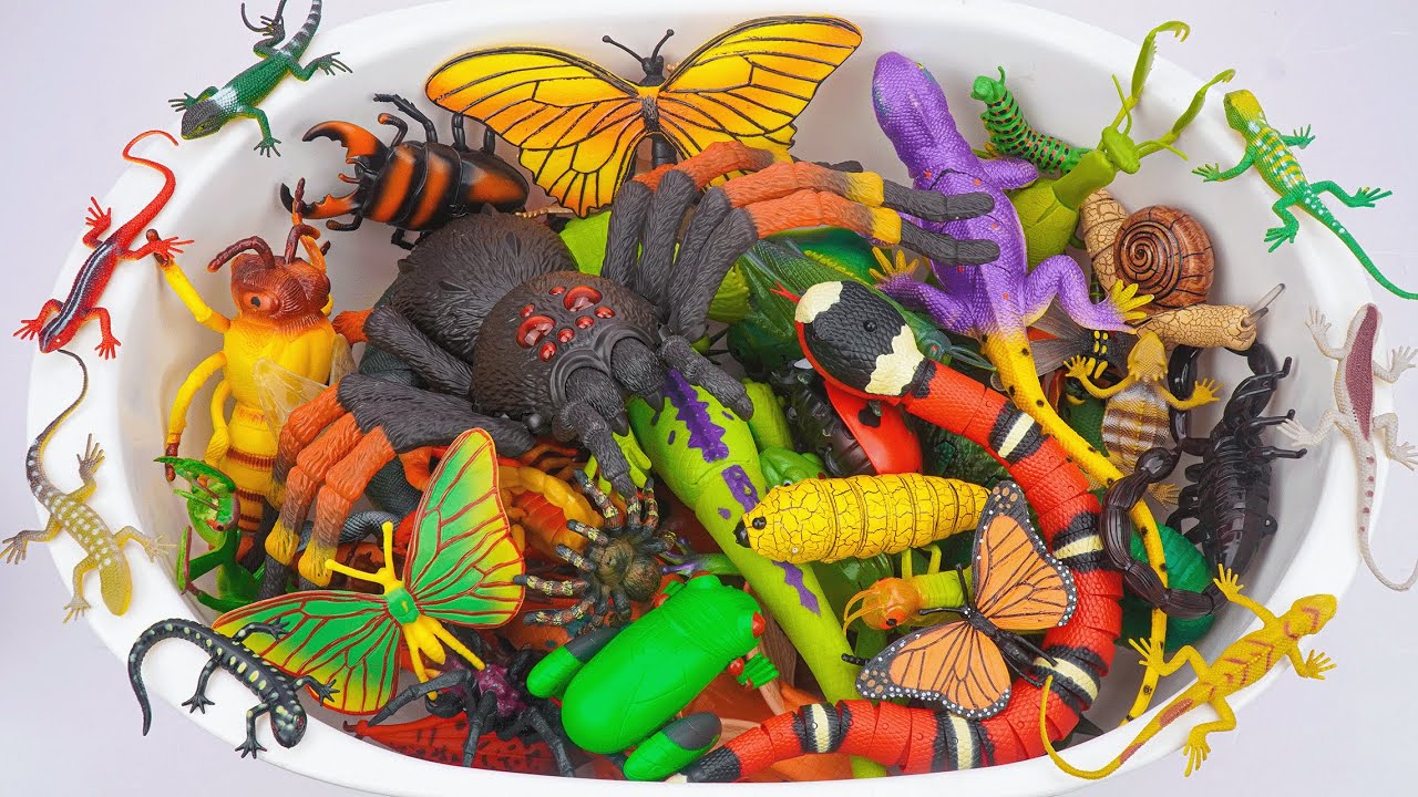 🦎toy asmr🦎 ZURU Robo Alive Insect Compilation ASMR | RC Spider, Butterfly, Snake, Worm (No Talking)