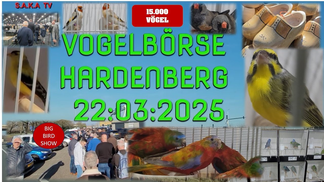 #Vogelmarkt Hardenberg,Große Vogelbörse Holland - 22.03.2025, 15.000 Vögel Biggest Birdshow  Holland