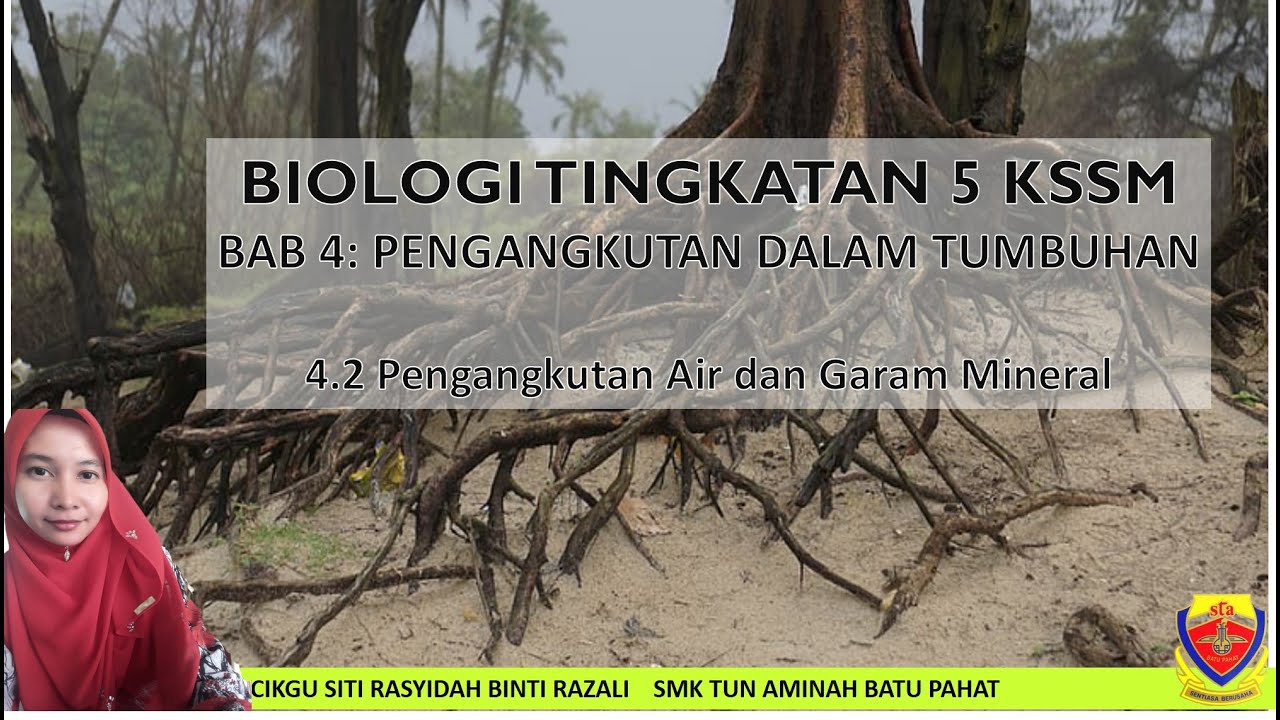 BIOLOGI TINGKATAN 5: BAB 4; 4.2 PENGANGKUTAN AIR DAN GARAM MINERAL