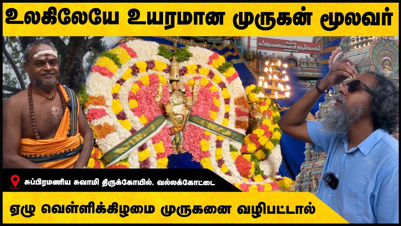 Vallakottai Murugan Temple |வல்லகோட்டை முருகன்|Tallest Murugan Idol | ஏழு வெள்ளிக்கிழமை வழிபாடு