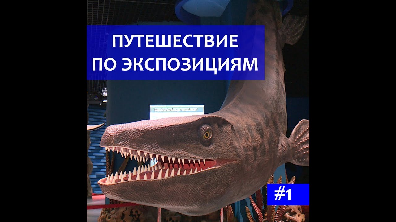 Приморский Океанариум. Путешествие по экспозициям. Выпуск №1. Эволюция жизни в океане.