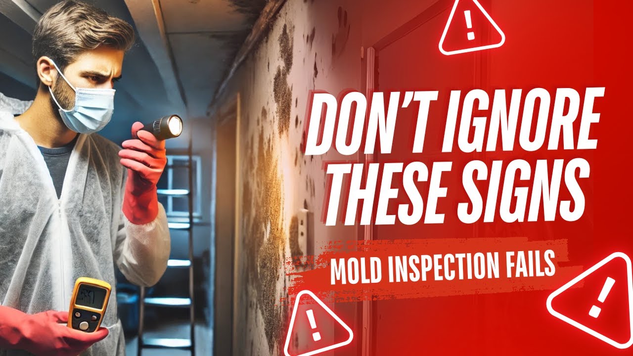 A Failed Mold Inspection (Watch this to make sure you don't make the wrong choice)